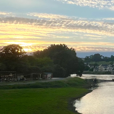 Bords de la rivière de la Vienne