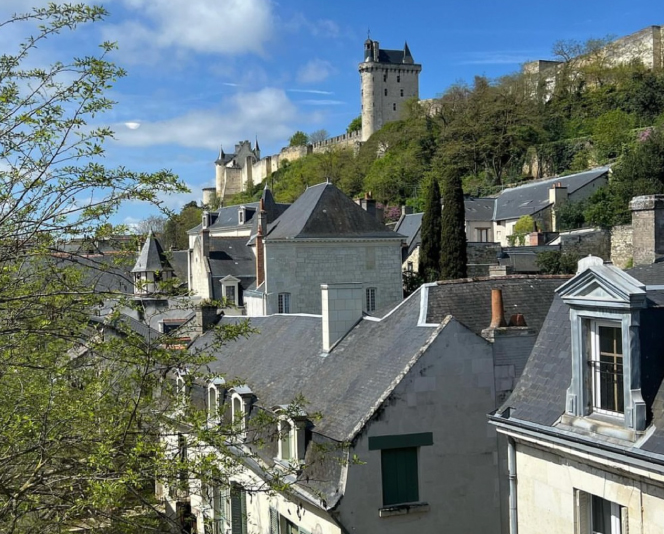 Vue hôtel de france chinon